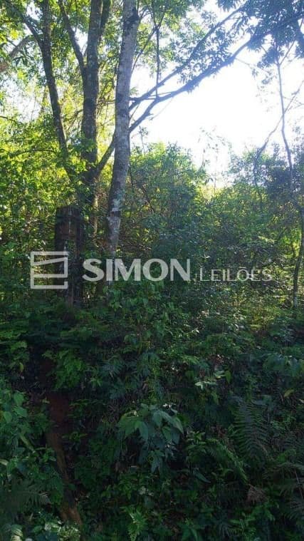 Foto 5 de 10: Area Rural em leilão em Quedas Do Iguaçu - PR, bairro Linha Estrela — 50% do imóvel rural, lote nº 01, com área de 6,3009ha, gleba nº 15, do imóvel Catanduvas, localizado na Linha Estrela em Quedas do Iguaçu/PR, com demais limites e confrontações constantes na matrícula