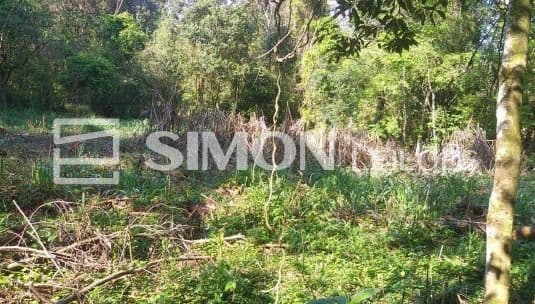 Area Rural em leilão em Quedas Do Iguaçu - PR, bairro Linha Estrela — 50% do imóvel rural, lote nº 01, com área de 6,3009ha, gleba nº 15, do imóvel Catanduvas, localizado na Linha Estrela em Quedas do Iguaçu/PR, com demais limites e confrontações constantes na matrícula