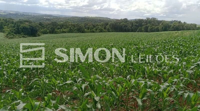 Foto 1 de 2: Area Rural em leilão em Nova Esperança Do Sudoeste - PR — Lote Rural nº. 60-A (sessenta-A) da Gleba nº. 46-FB (quarenta e seis-FB), do núcleo de Francisco Beltrão, da Colônia Missões, na Comunidade Rio Varanda, s/nº, Zona Rural do Município de Nova Esperança
