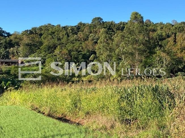 Foto 6 de 8: Terreno em leilão em Nova Prata Do Iguaçu - PR, bairro Linha Alto Bela Vista — Lote de Terra Rural n° 11 (Onze), da Gleba n° 96-FB (noventa e seis- FB), do núcleo de Francisco Beltrão, da Colônia Missões, se localiza na Linha Alto Bela Vista, no Município de Nova Prata do Iguaçu