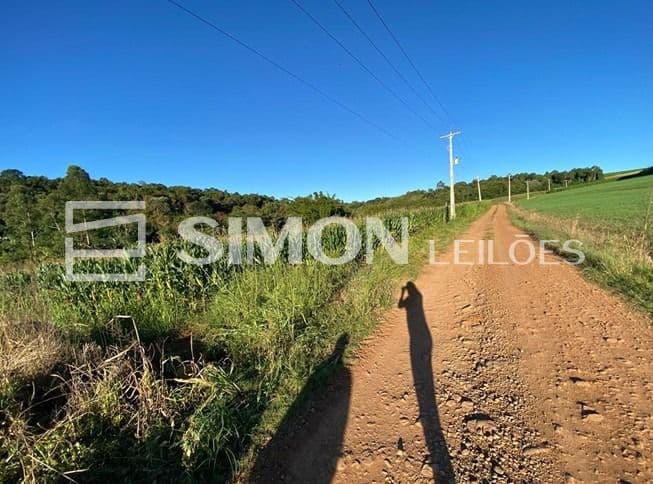 Foto 7 de 8: Terreno em leilão em Nova Prata Do Iguaçu - PR, bairro Linha Alto Bela Vista — Lote de Terra Rural n° 11 (Onze), da Gleba n° 96-FB (noventa e seis- FB), do núcleo de Francisco Beltrão, da Colônia Missões, se localiza na Linha Alto Bela Vista, no Município de Nova Prata do Iguaçu