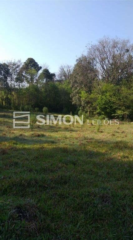 Foto 4 de 10: Area Rural em leilão em Quedas Do Iguaçu - PR, bairro Linha Estrela — 50% do imóvel rural, lote nº 01, com área de 6,3009ha, gleba nº 15, do imóvel Catanduvas, localizado na Linha Estrela em Quedas do Iguaçu/PR, com demais limites e confrontações constantes na matrícula