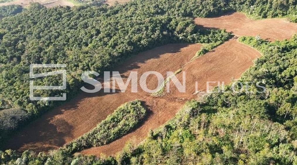 Foto 3 de 7: Area Rural em leilão em Nova Esperança Do Sudoeste - PR — Lote Rural 01-H da gleba 60-FB, com a área de 60.500,00 m², localizado na linha São Luiz, em Nova Esperança do Sudoeste/PR. O imóvel está situado a cerca de cerca de 7,5 km do perímetro urbano do muni