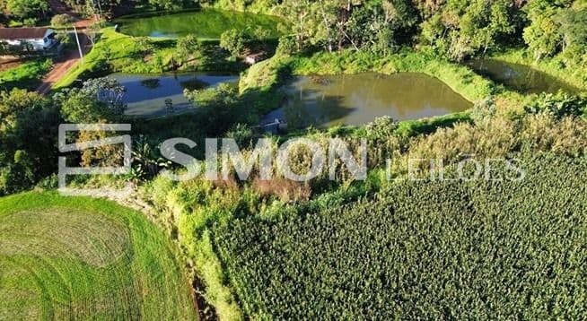Foto 1 de 8: Terreno em leilão em Nova Prata Do Iguaçu - PR, bairro Linha Alto Bela Vista — Lote de Terra Rural n° 11 (Onze), da Gleba n° 96-FB (noventa e seis- FB), do núcleo de Francisco Beltrão, da Colônia Missões, se localiza na Linha Alto Bela Vista, no Município de Nova Prata do Iguaçu