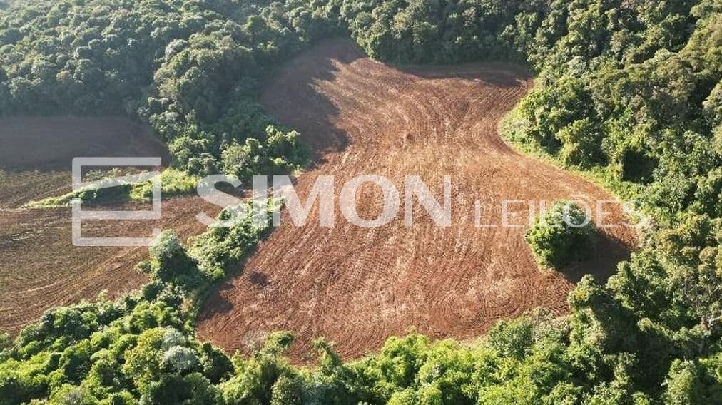 Foto 5 de 7: Area Rural em leilão em Nova Esperança Do Sudoeste - PR — Lote Rural 01-H da gleba 60-FB, com a área de 60.500,00 m², localizado na linha São Luiz, em Nova Esperança do Sudoeste/PR. O imóvel está situado a cerca de cerca de 7,5 km do perímetro urbano do muni