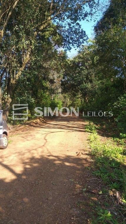 Foto 6 de 10: Area Rural em leilão em Quedas Do Iguaçu - PR, bairro Linha Estrela — 50% do imóvel rural, lote nº 01, com área de 6,3009ha, gleba nº 15, do imóvel Catanduvas, localizado na Linha Estrela em Quedas do Iguaçu/PR, com demais limites e confrontações constantes na matrícula