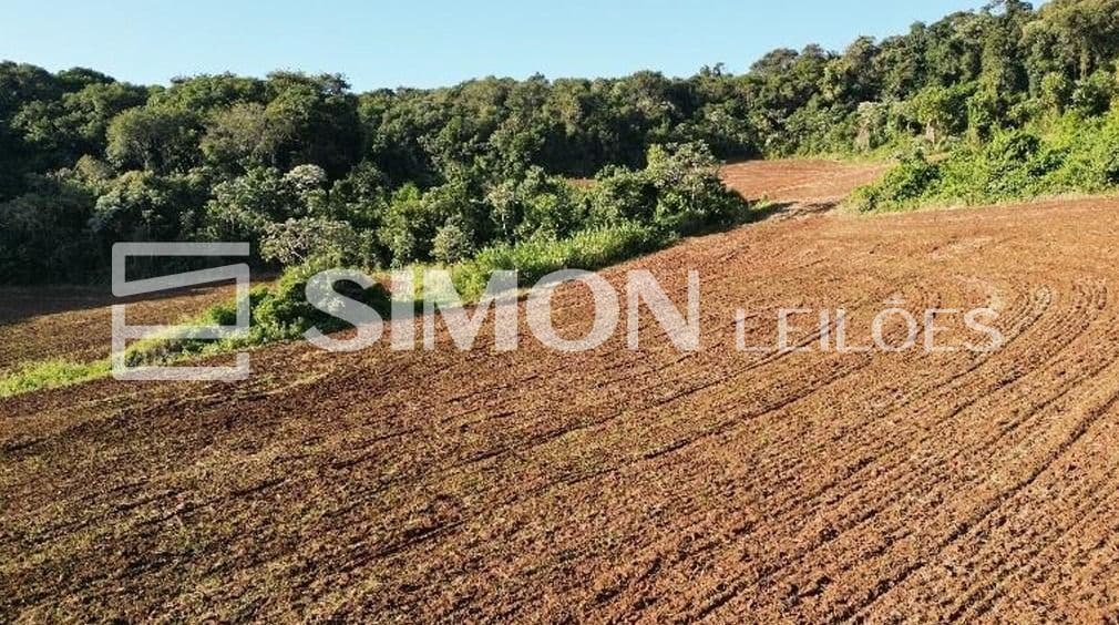 Foto 4 de 7: Area Rural em leilão em Nova Esperança Do Sudoeste - PR — Lote Rural 01-H da gleba 60-FB, com a área de 60.500,00 m², localizado na linha São Luiz, em Nova Esperança do Sudoeste/PR. O imóvel está situado a cerca de cerca de 7,5 km do perímetro urbano do muni