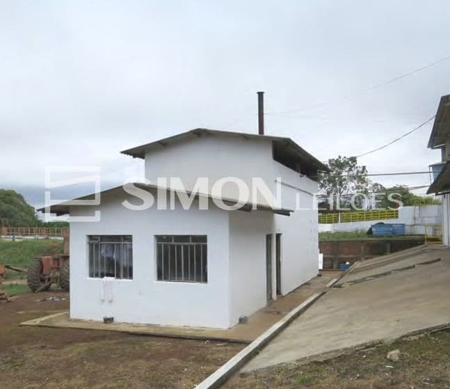 Foto 11 de 15: Area Rural em leilão em Piraí Do Sul - PR, bairro Bairro do Silva — Um terreno rural situado no Município de Piraí do Sul, Paraná, no lugar denominado “BAIRRO DO SILVA”, com a área total de 1,54 alqueires, com limites e confrontações constantes na matrícula nº 4807 do