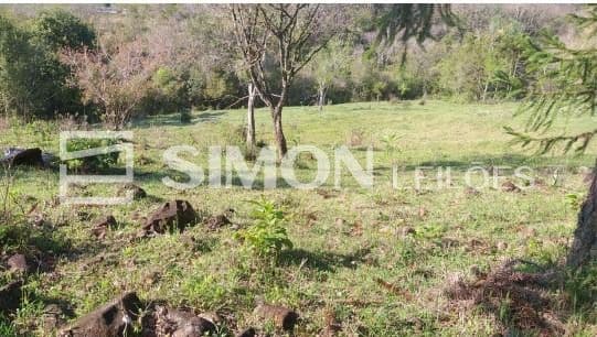 Foto 2 de 10: Area Rural em leilão em Quedas Do Iguaçu - PR, bairro Linha Estrela — 50% do imóvel rural, lote nº 01, com área de 6,3009ha, gleba nº 15, do imóvel Catanduvas, localizado na Linha Estrela em Quedas do Iguaçu/PR, com demais limites e confrontações constantes na matrícula