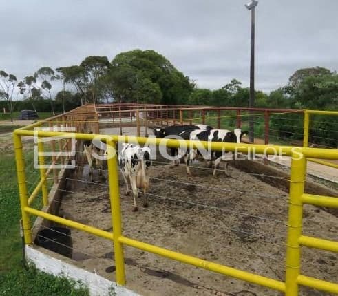 Foto 4 de 15: Area Rural em leilão em Piraí Do Sul - PR, bairro Bairro do Silva — Um terreno rural situado no Município de Piraí do Sul, Paraná, no lugar denominado “BAIRRO DO SILVA”, com a área total de 1,54 alqueires, com limites e confrontações constantes na matrícula nº 4807 do
