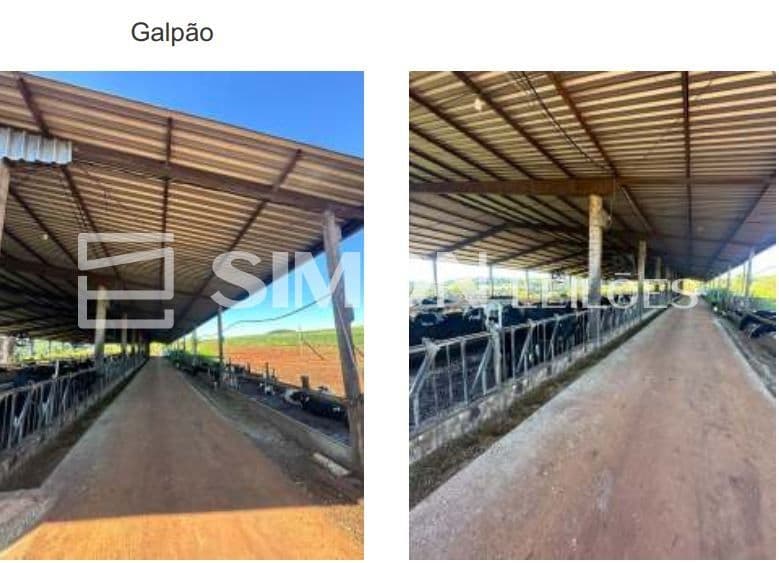 Foto 5 de 7: Area Rural em leilão em Enéas Marques - PR — LOTE RURAL nº 06-REMANESCENTE (Seis Remanescente) da GLEBA nº 45-FB (Quarenta e Cinco - FB), do Patrimônio de Enéas Marques-PR, da Colônia Missões, situado no Município de Enéas Marques, Estado do Par