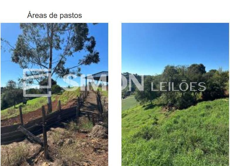 Foto 4 de 7: Area Rural em leilão em Enéas Marques - PR — LOTE RURAL nº 06-REMANESCENTE (Seis Remanescente) da GLEBA nº 45-FB (Quarenta e Cinco - FB), do Patrimônio de Enéas Marques-PR, da Colônia Missões, situado no Município de Enéas Marques, Estado do Par