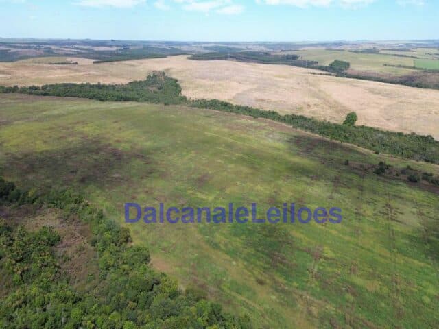 Foto 5 de 12: Area Rural em leilão em Cristalina - GO — Uma gleba de terra, situada na OBJETO DA HASTA: Uma gleba de terra, situada na Fazenda Piscamba, com a área de 778,40,90ha (setecentos e setenta e oito hectares, quarenta ares e noventa centiares), de
