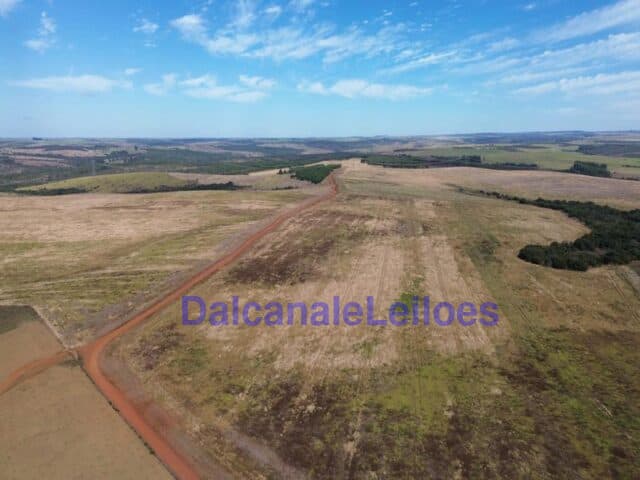 Foto 3 de 12: Area Rural em leilão em Cristalina - GO — Uma gleba de terra, situada na OBJETO DA HASTA: Uma gleba de terra, situada na Fazenda Piscamba, com a área de 778,40,90ha (setecentos e setenta e oito hectares, quarenta ares e noventa centiares), de