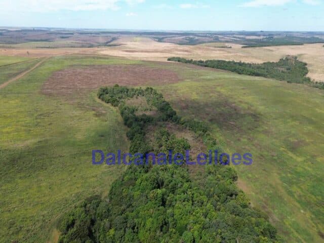 Foto 4 de 12: Area Rural em leilão em Cristalina - GO — Uma gleba de terra, situada na OBJETO DA HASTA: Uma gleba de terra, situada na Fazenda Piscamba, com a área de 778,40,90ha (setecentos e setenta e oito hectares, quarenta ares e noventa centiares), de