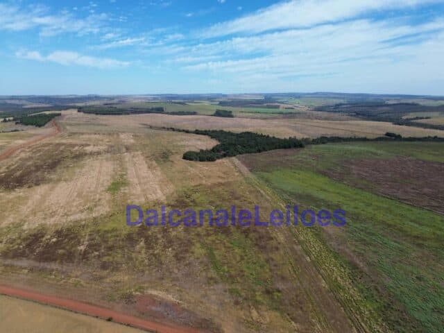 Foto 11 de 12: Area Rural em leilão em Cristalina - GO — Uma gleba de terra, situada na OBJETO DA HASTA: Uma gleba de terra, situada na Fazenda Piscamba, com a área de 778,40,90ha (setecentos e setenta e oito hectares, quarenta ares e noventa centiares), de