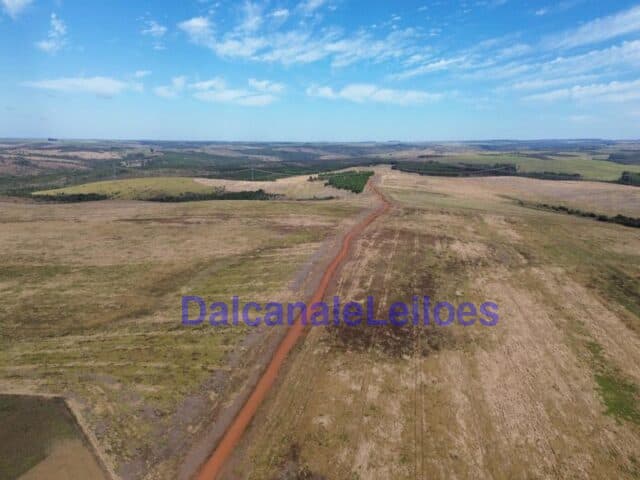 Foto 9 de 12: Area Rural em leilão em Cristalina - GO — Uma gleba de terra, situada na OBJETO DA HASTA: Uma gleba de terra, situada na Fazenda Piscamba, com a área de 778,40,90ha (setecentos e setenta e oito hectares, quarenta ares e noventa centiares), de