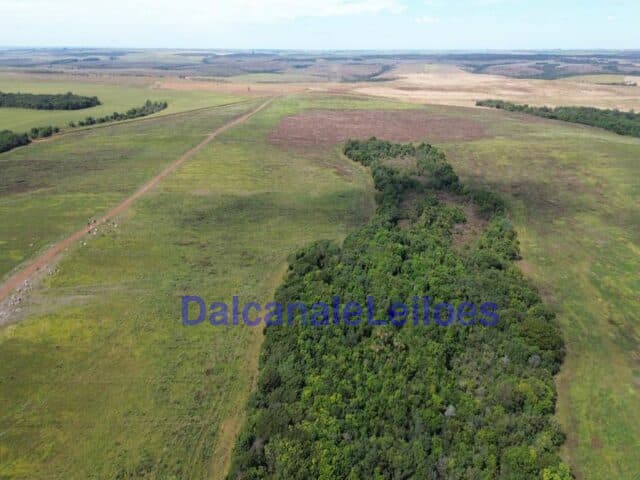 Foto 6 de 12: Area Rural em leilão em Cristalina - GO — Uma gleba de terra, situada na OBJETO DA HASTA: Uma gleba de terra, situada na Fazenda Piscamba, com a área de 778,40,90ha (setecentos e setenta e oito hectares, quarenta ares e noventa centiares), de
