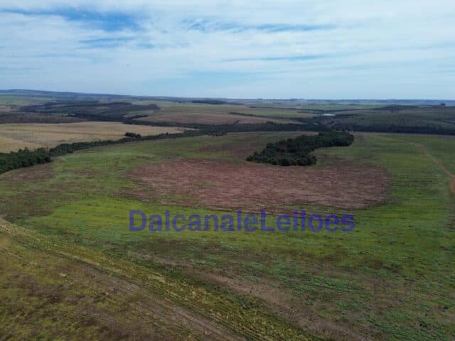 Foto 12 de 12: Area Rural em leilão em Cristalina - GO — Uma gleba de terra, situada na OBJETO DA HASTA: Uma gleba de terra, situada na Fazenda Piscamba, com a área de 778,40,90ha (setecentos e setenta e oito hectares, quarenta ares e noventa centiares), de