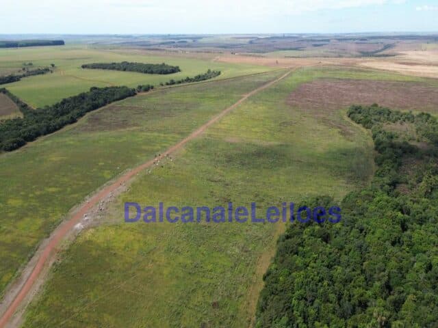 Foto 10 de 12: Area Rural em leilão em Cristalina - GO — Uma gleba de terra, situada na OBJETO DA HASTA: Uma gleba de terra, situada na Fazenda Piscamba, com a área de 778,40,90ha (setecentos e setenta e oito hectares, quarenta ares e noventa centiares), de