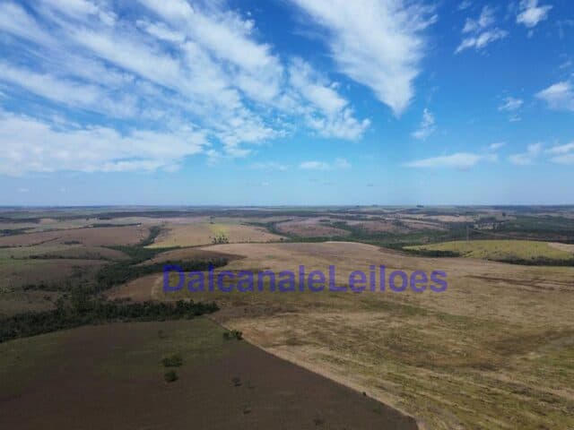 Foto 8 de 12: Area Rural em leilão em Cristalina - GO — Uma gleba de terra, situada na OBJETO DA HASTA: Uma gleba de terra, situada na Fazenda Piscamba, com a área de 778,40,90ha (setecentos e setenta e oito hectares, quarenta ares e noventa centiares), de