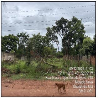 Terreno em leilão em Uberlândia - MG, bairro Morada Nova — Terreno 1000m², MORADA NOVA, UBERLANDIA MG