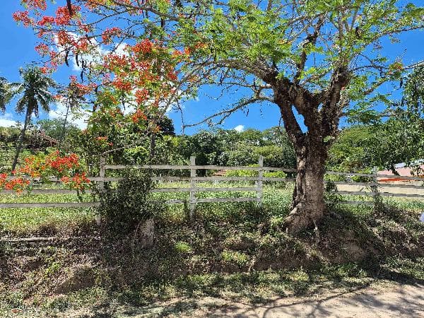 Casa em leilão em Paraíba Do Sul - RJ — Casa 170,52m², 3 dormitório(s), 1 vaga(s) na garagem - , PARAIBA DO SUL RJ