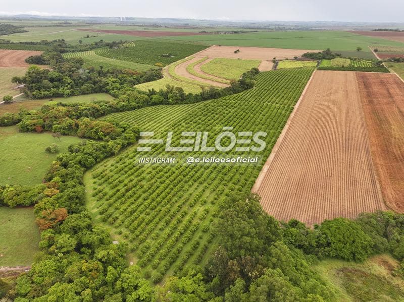 Foto 3 de 7: Area Rural em leilão em Pirassununga - SP — Sítio Três Irmãs, área superficial de 102.898,40m² - Pirassununga/SP
