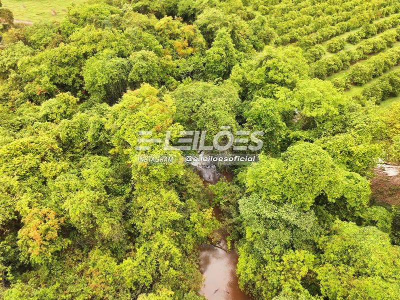Foto 4 de 7: Area Rural em leilão em Pirassununga - SP — Sítio Três Irmãs, área superficial de 102.898,40m² - Pirassununga/SP