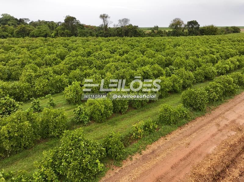 Foto 5 de 7: Area Rural em leilão em Pirassununga - SP — Sítio Três Irmãs, área superficial de 102.898,40m² - Pirassununga/SP