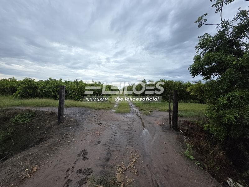 Foto 6 de 7: Area Rural em leilão em Pirassununga - SP — Sítio Três Irmãs, área superficial de 102.898,40m² - Pirassununga/SP