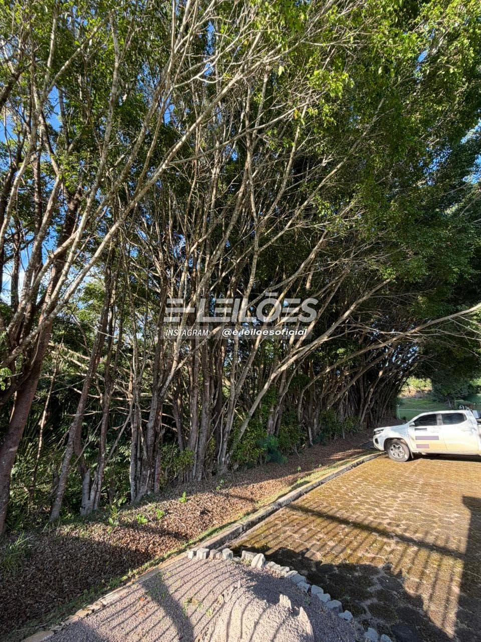 Foto 33 de 35: Casa em leilão em Brasília - DF, bairro Setor de Mansões — Imóvel residencial em condomínio, área total de 2.857,14m² - Brasília/DF