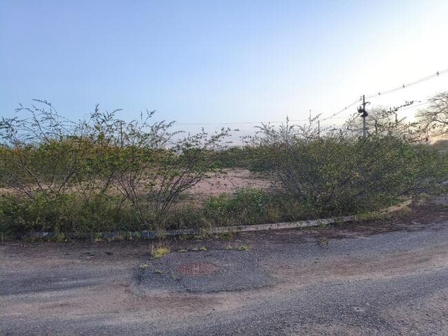 Foto 3 de 3: Terreno em leilão em Feira De Santana - BA, bairro Asa Branca — Lote Nº 01, Quadra "c" - Parque Progresso