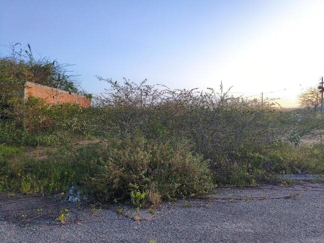 Foto 3 de 3: Terreno em leilão em Feira De Santana - BA, bairro Asa Branca — Lote Nº 02, Quadra "c" - Parque Progresso