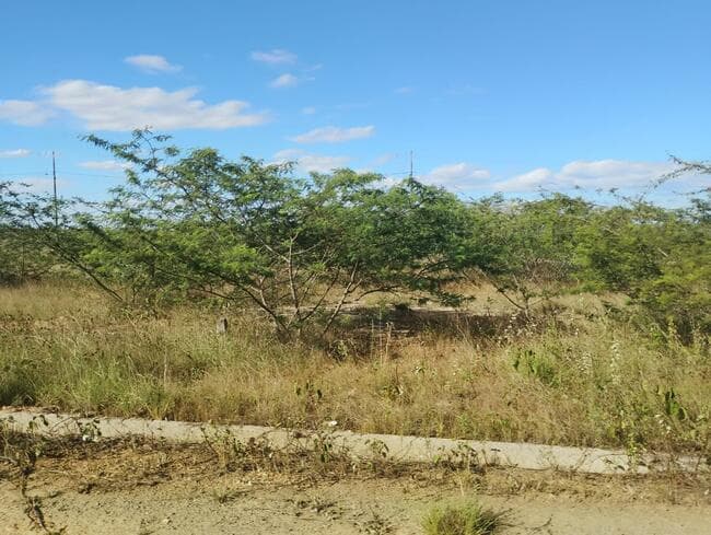 Foto 3 de 3: Terreno em leilão em Feira De Santana - BA, bairro Asa Branca — Lote Nº 51, Quadra "c" - Parque Progresso
