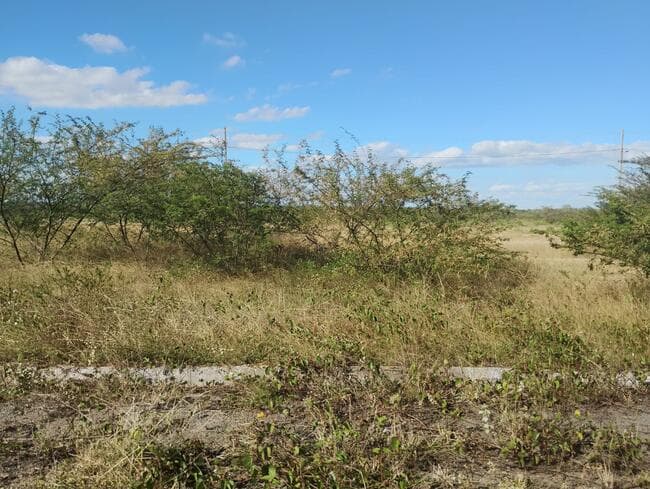 Foto 3 de 3: Terreno em leilão em Feira De Santana - BA, bairro Asa Branca — Lote Nº 58, Quadra "c" - Parque Progresso