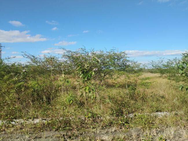 Foto 3 de 3: Terreno em leilão em Feira De Santana - BA, bairro Asa Branca — Lote Nº 59, Quadra "c" - Parque Progresso