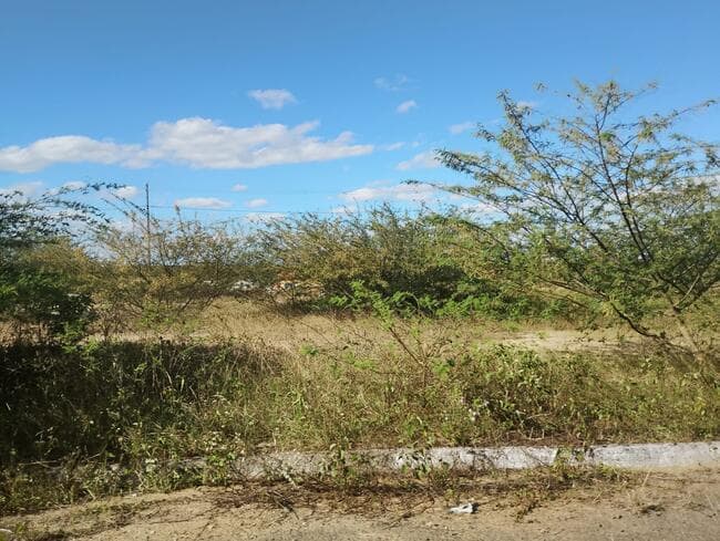 Foto 3 de 3: Terreno em leilão em Feira De Santana - BA, bairro Asa Branca — Lote Nº 61, Quadra "c" - Parque Progresso