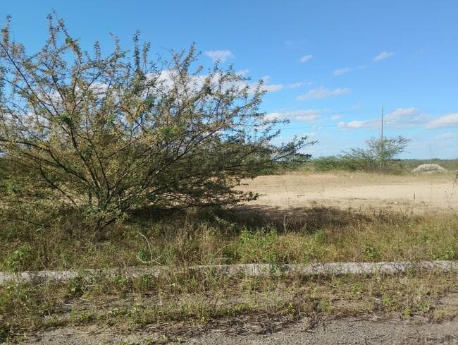 Foto 3 de 3: Terreno em leilão em Feira De Santana - BA, bairro Asa Branca — Lote Nº 67, Quadra "c" - Parque Progresso