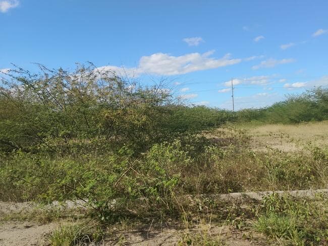 Foto 3 de 3: Terreno em leilão em Feira De Santana - BA, bairro Asa Branca — Lote Nº 71, Quadra "c" - Parque Progresso