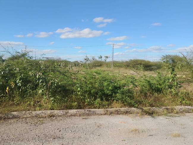 Foto 3 de 3: Terreno em leilão em Feira De Santana - BA, bairro Asa Branca — Lote Nº 90, Quadra "c" - Parque Progresso