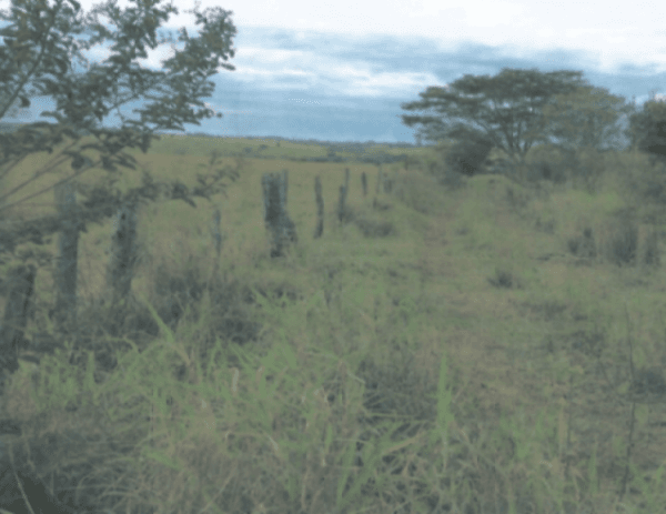Area Rural em leilão em Guaraçaí - SP, bairro 2ª Aliança — Sítio Em  Mirandópolis Com 12,27,27 Ha
