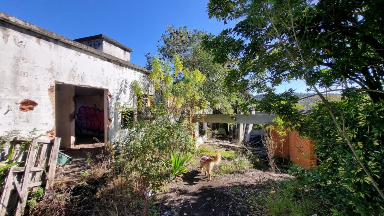 Foto 7 de 38: Terreno em leilão em Novo Hamburgo - RS, bairro Roselândia — TERRENO DE 7.341,87m² FRENTE PARA A BR 116 EM NOVO HAMBURGO/RS