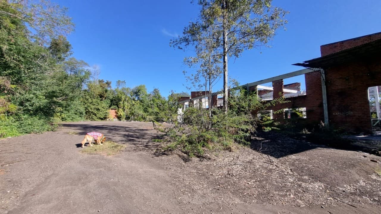 Foto 10 de 38: Terreno em leilão em Novo Hamburgo - RS, bairro Roselândia — TERRENO DE 7.341,87m² FRENTE PARA A BR 116 EM NOVO HAMBURGO/RS