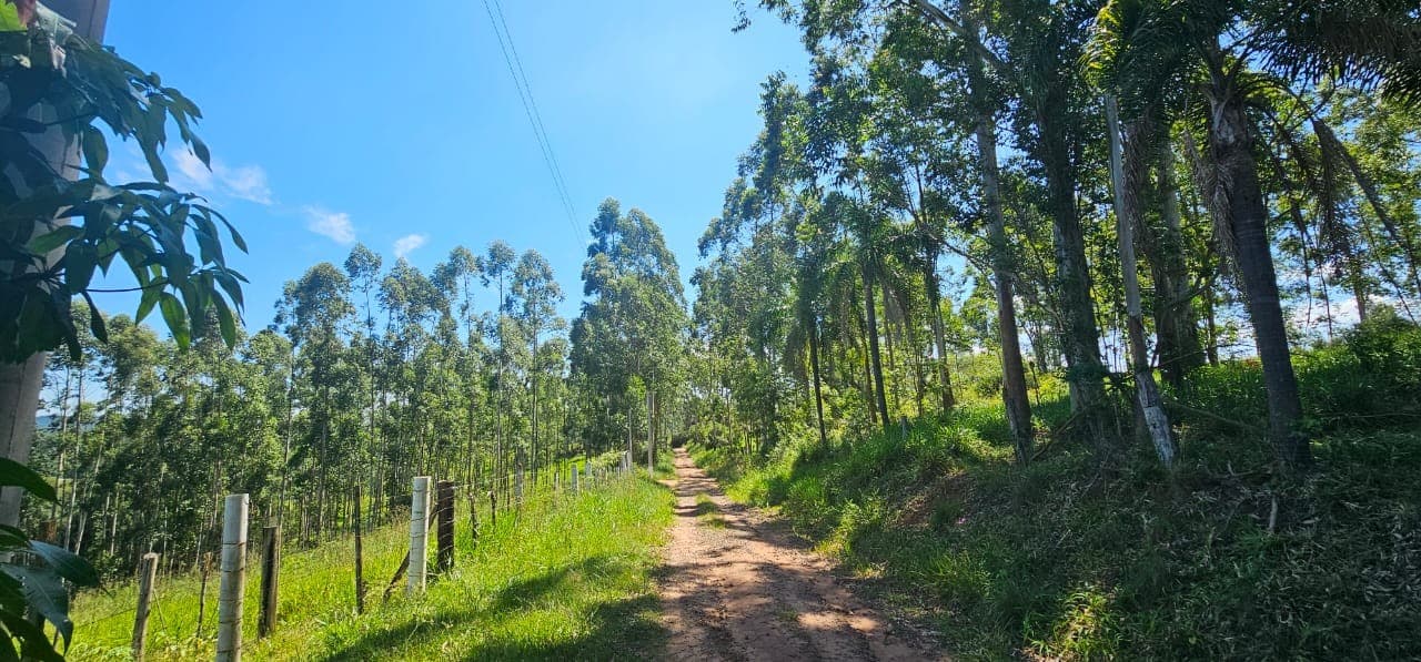 Foto 4 de 11: Terreno em leilão em São Sebastião Do Caí - RS — TERRENO COM ÁREA DE 3.050,00m² DO LOTE 5 QUADRA D DO PARQUE CAMPRESTRE
