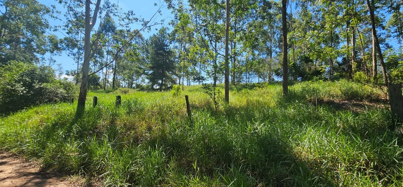 Foto 3 de 11: Terreno em leilão em São Sebastião Do Caí - RS — TERRENO COM ÁREA DE 3.050,00m² DO LOTE 5 QUADRA D DO PARQUE CAMPRESTRE