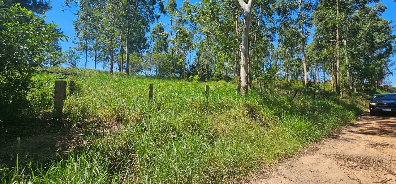 Foto 6 de 11: Terreno em leilão em São Sebastião Do Caí - RS — TERRENO COM ÁREA DE 3.050,00m² DO LOTE 5 QUADRA D DO PARQUE CAMPRESTRE
