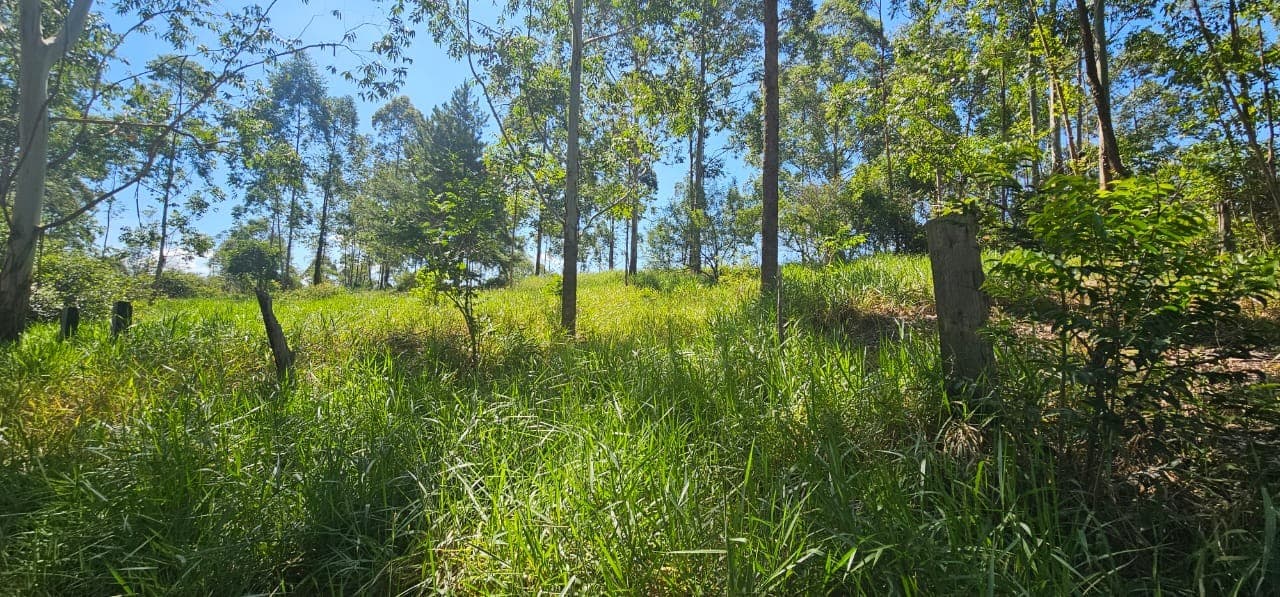 Foto 9 de 11: Terreno em leilão em São Sebastião Do Caí - RS — TERRENO COM ÁREA DE 3.050,00m² DO LOTE 5 QUADRA D DO PARQUE CAMPRESTRE
