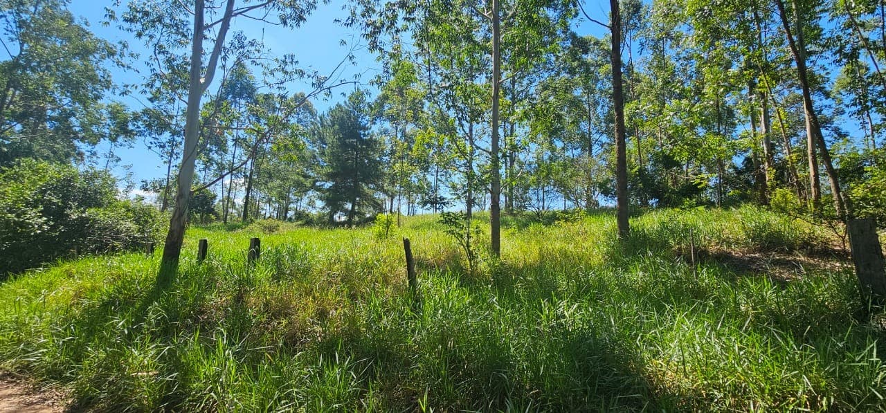 Foto 2 de 11: Terreno em leilão em São Sebastião Do Caí - RS — TERRENO COM ÁREA DE 3.050,00m² DO LOTE 5 QUADRA D DO PARQUE CAMPRESTRE