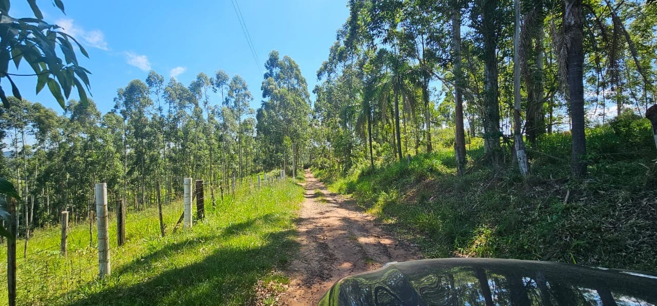 Foto 5 de 11: Terreno em leilão em São Sebastião Do Caí - RS — TERRENO COM ÁREA DE 3.050,00m² DO LOTE 5 QUADRA D DO PARQUE CAMPRESTRE